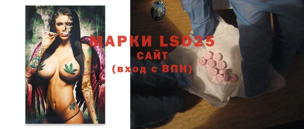 индика Белоозёрский