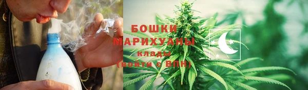 индика Белоозёрский