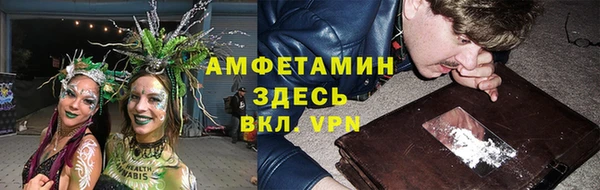 индика Белоозёрский
